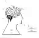 Fig. 01 - Systems and methods for haptically-enabled neural interfaces