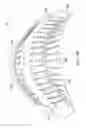 Fig. 06 - Curving mechanism for a portable mouse