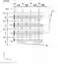 Fig. 06 - Optically transparent electroconductive material