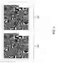 Fig. 04 - Transfer learning of convolutional neural networks from visible color (RBG) to infrared (IR) domain
