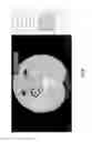 Fig. 28 - Medical scan comparison system