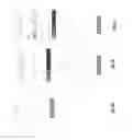 Fig. 40 - Medical scan comparison system