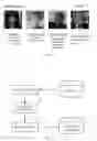 Fig. 07 - Method of building a sorting model, and application method and apparatus based on the model