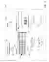 Fig. 06 - Determining compliance of a target asset to at least one defined parameter based on a simulated transient response capability of the target asset and as a function of physical operation data measured during an actual defined event