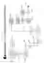 Fig. 11 - System and method for proactive auto portability of individual retirement accounts