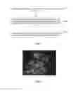 Fig. 02 - Method, apparatus, and storage medium for processing particle system