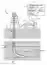Fig. 01 - Methods and systems for automatically analyzing an image representative of a formation
