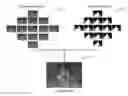 Fig. 01 - Multi-view back-projection to a light-field