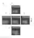 Fig. 09 - Multi-view back-projection to a light-field