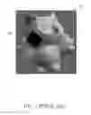 Fig. 04 - Device capable of correcting wrong normal vectors of an original three-dimensional scan result and related method thereof