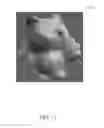 Fig. 12 - Device capable of correcting wrong normal vectors of an original three-dimensional scan result and related method thereof