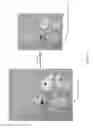 Fig. 02 - Methods for creating a simulated watercolor-painted image from a source image
