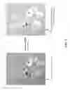 Fig. 03 - Methods for creating a simulated watercolor-painted image from a source image