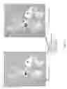 Fig. 08 - Methods for creating a simulated watercolor-painted image from a source image