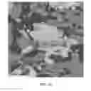 Fig. 20 - Image processing apparatus, surface analyzer, and image processing method