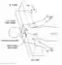 Fig. 01 - Unified coordinate system for multiple CT scans of patient lungs