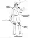 Fig. 01 - DETERMINING FULL-BODY POSE FOR A VIRTUAL REALITY ENVIRONMENT