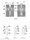 Fig. 72 - Self-scrolling braille