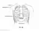 Fig. 04 - CARDIOPULMONARY RESUSCITATION TRAINING APPARATUS AND METHOD