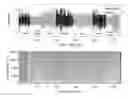 Fig. 01 - Music Detection
