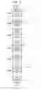 Fig. 07 - Semiconductor memory device