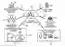 Application 20180342329, fig. 01
