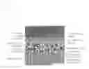 Fig. 04 - Laminated ceramic electronic component and method for manufacturing same
