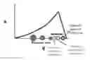 Fig. 01 - Systems and methods for conducting neutral loss scans in a single ion trap