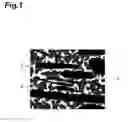Fig. 02 - Assembly and semiconductor device