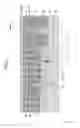 Fig. 06 - Semiconductor device