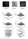 Fig. 05 - Transparent hybrid substrates, devices employing such substrates, and methods for fabrication and use thereof