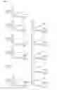 Fig. 02 - Method of manufacturing negative electrode and negative electrode
