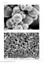 Fig. 02 - Composite core-shell particles