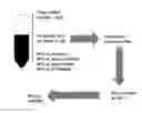 Fig. 01 - FABRICATION OF FLEXIBLE CONDUCTIVE ITEMS AND BATTERIES USING MODIFIED INKS