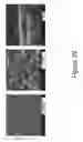 Fig. 40 - Garnet materials for Li secondary batteries and methods of making and using garnet materials