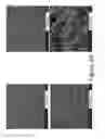 Fig. 59 - Garnet materials for Li secondary batteries and methods of making and using garnet materials