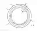Fig. 07 - Magnetic rotor assembly