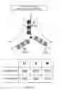 Fig. 12 - Motor drive controller and motor drive control method