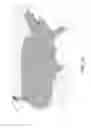 Fig. 26 - ACCESS NODE FOR END-TO-END BEAMFORMING COMMUNICATIONS SYSTEM