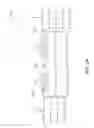 Fig. 33 - ACCESS NODE FOR END-TO-END BEAMFORMING COMMUNICATIONS SYSTEM