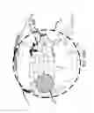 Fig. 47 - ACCESS NODE FOR END-TO-END BEAMFORMING COMMUNICATIONS SYSTEM