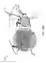 Fig. 55 - ACCESS NODE FOR END-TO-END BEAMFORMING COMMUNICATIONS SYSTEM