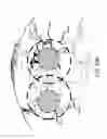 Fig. 60 - ACCESS NODE FOR END-TO-END BEAMFORMING COMMUNICATIONS SYSTEM