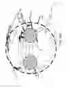 Fig. 61 - ACCESS NODE FOR END-TO-END BEAMFORMING COMMUNICATIONS SYSTEM