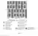 Fig. 14 - PHYSICAL DOWNLINK CHANNEL TRANSMISSION METHOD, APPARATUS, AND SYSTEM