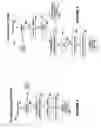 Fig. 04 - Email address farming mitigation