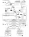 Fig. 04 - Fax board incompatibility detection and circumvention