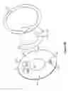 Fig. 10 - Camera assembly having a single-piece cover element