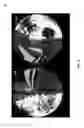 Fig. 03 - High-level signaling for fisheye video data