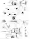 Fig. 01 - Apparatus for adapting a presentation of media content to a requesting device